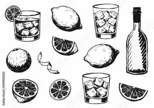 A set of hand drawn black and white sketches featuring a wine bottle cocktail glasses with ice cubes whole lemons and sliced citrus fruit.