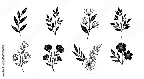 Collection of delicate floral line art arrangements in black and white