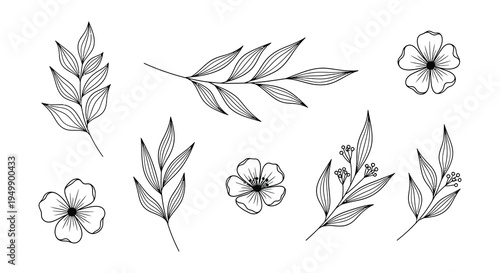 Collection of delicate floral line art arrangements in black and white