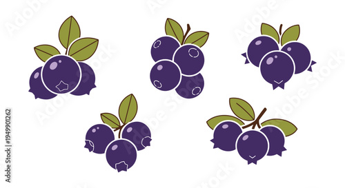 Huckleberry Line art vector creative pastel abstract color illustration
