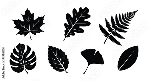 A collection of six different black silhouette leaf shapes