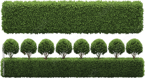 Green garden hedge and trimmed bushes landscape shrub border vector illustration set