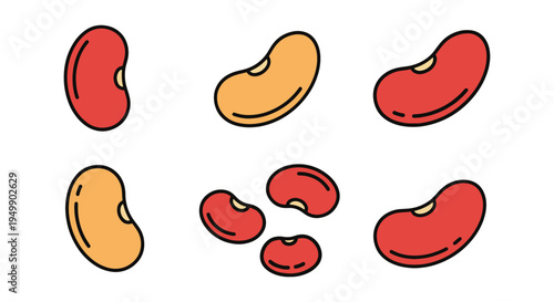 Kidney Bean Line art vector clean minimal abstract tone