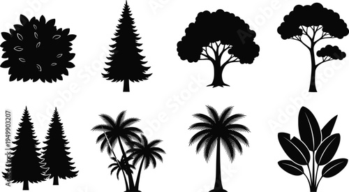 Black silhouette collection of eight diverse trees and plants including palm, conifer, deciduous, bush, and broadleaf foliage arranged in rows for botanical illustration, design, and education