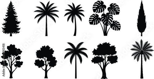 Black silhouette collection of ten diverse trees and plants including palm, conifer, deciduous, tropical foliage, and bush varieties arranged in rows for botanical illustration, design, and education