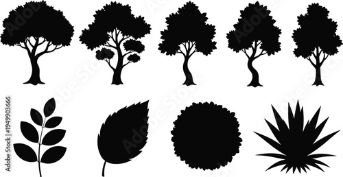 Black silhouette collection of trees and plants including palm, conifer, deciduous, leafy branches, bushes, and spiky foliage arranged in rows for botanical illustration, design, and education