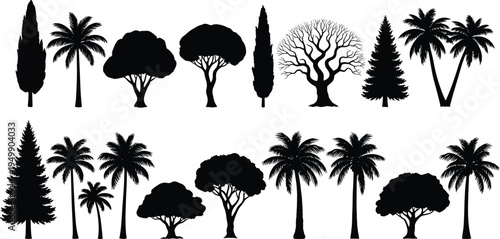Collection of black tree silhouettes featuring diverse species including palms, conifers, and deciduous forms, ideal for botanical references, landscape 