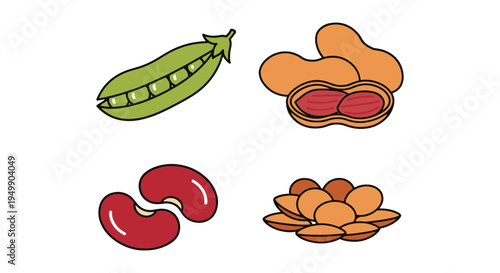 Legumes Line art vector set dynamic creative abstract