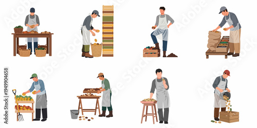 A collection of flat illustrations showing male farmers and agricultural workers harvesting, sorting, and packing potatoes and fresh produce into various containers.
