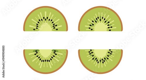 Kiwi Slice Line art vector minimal geometric abstract color illustration