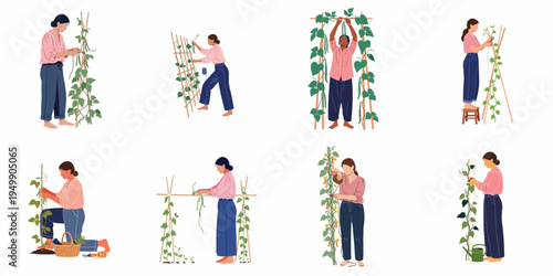 Set of flat illustrations of women gardening and tending to climbing plants on various trellises, featuring diverse poses and gardening activities.