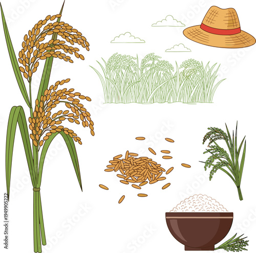 Rice plant harvest elements collection with paddy field grains bowl and straw hat agriculture vector illustration