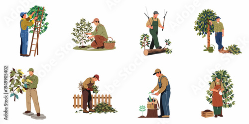 Flat vector illustration collection of male gardeners and farmers pruning, harvesting, and maintaining various trees and plants in a garden or farm setting.