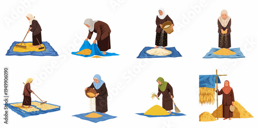 Collection of illustrations showing elderly Southeast Asian women in hijabs performing traditional post-harvest rice processing tasks like drying, winnowing, and raking grains.