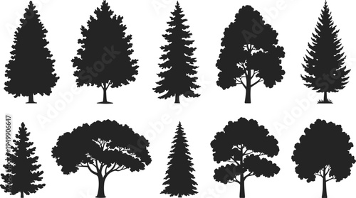 Set of evergreen and deciduous tree silhouettes, forest vector collection for landscape design, botanical illustration, nature clipart isolated elements