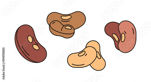 Legumes Line art vector set modern blended abstract color