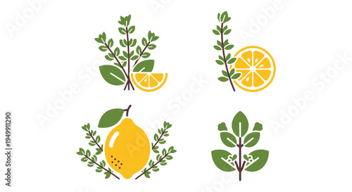 Lemon Thyme Line art vector minimal smooth abstract color illustration