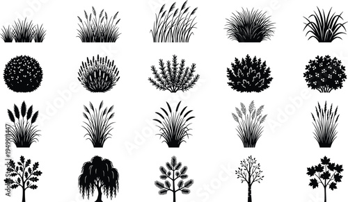 Plant and grass silhouette vector set, bushes shrubs small trees collection, black botanical nature elements, decorative landscape design isolated