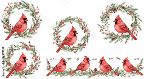 Red cardinals on holiday wreaths, pine branches, holly leaves, berries, garlands, winter decor, festive design, seasonal vector, Christmas art