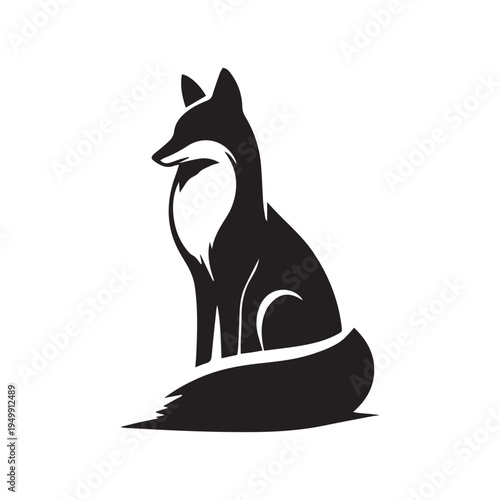 black and white fox isolated on white background