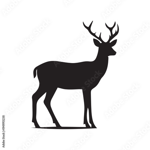 deer vector illustration
