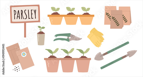 Set of gardening elements isolated on white background. Includes parsley seedlings in pots, seed packets, gardening gloves, pruning shears, small shovels, paper bags with leaf icons and a plant label