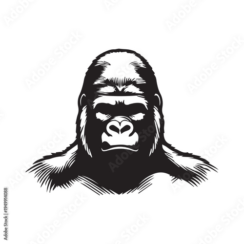 vector illustration of gorilla