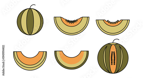 Melons Line art vector set smooth abstract color