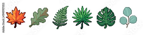 Set of six different pixel art leaves including maple, oak, fern, and tropical foliage in a retro 8-bit video game style illustration