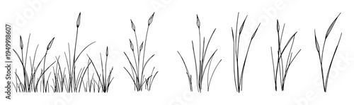 Grass set with various types of greenery and plants featuring blades, leaves, and organic shapes with natural elements and foliage
