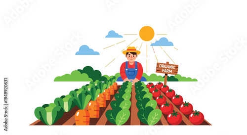 Farmer tending to organic farm with fresh vegetables and tomatoes in sunny weather conditions