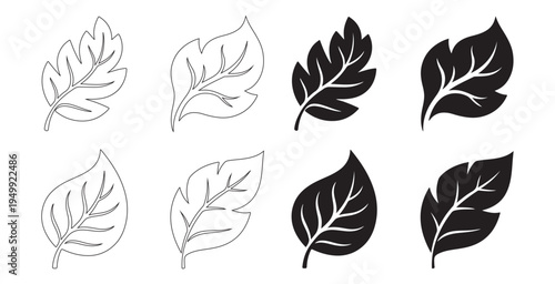 Collection of various leaf shapes in black and white on isolated white background