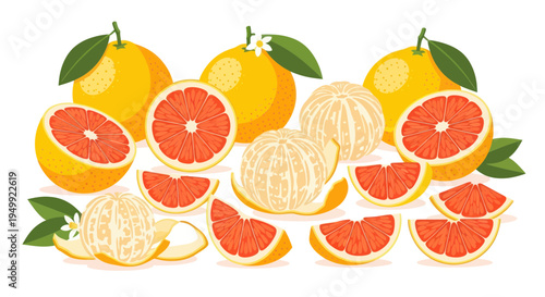 Fresh Grapefruit Slices and Whole Fruits Isolated on White Background