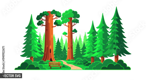 Serene Forest Path with Giant Trees and Bench