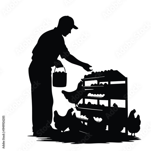 Poultry worker silhouette organizing fresh eggs on shelves with hens