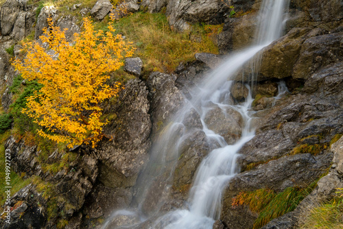 Trail GR11, ravine of Agüerri, western valleys, Pyrenean mountain range, province of Huesca, Aragon, Spain, europe