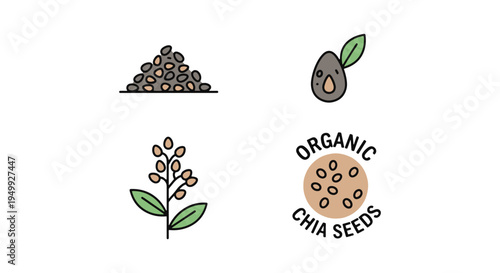 Organic Chia Seeds Line art contemporary abstract color vector