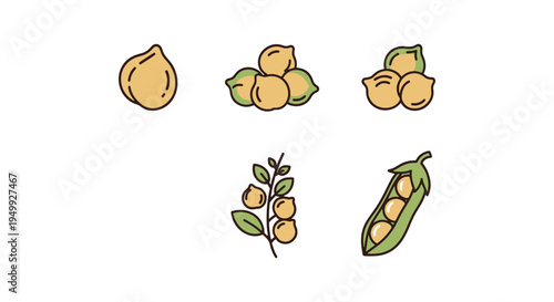 Organic Chickpeas Line art digital abstract colorful vector