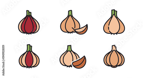 Organic Garlic Line art vector dynamic abstract modern