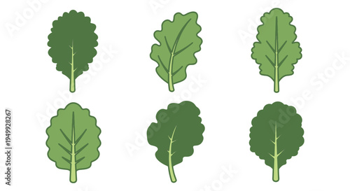 Organic Kale Line art vector minimal bold abstract color