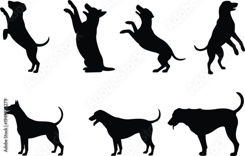 Dog silhouettes set showing standing and jumping poses, domestic canine pet animals isolated on white background vector illustration collection