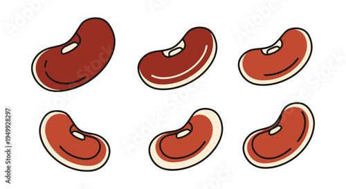 Organic Kidney Beans Line art clean vibrant abstract color illustration