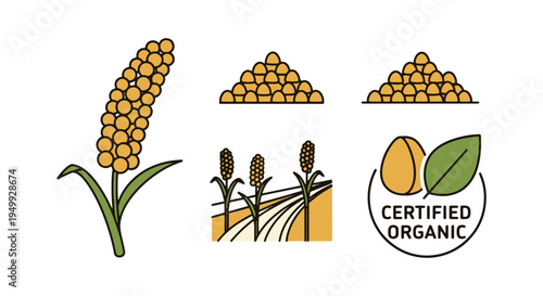 Organic Millet Line art vector creative geometric abstract color illustration