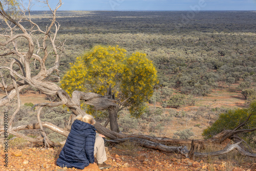 Fotografie A blonde woman in winter clothing sits next to a gnarled dead tree and a yellow flowering acacia and looks out over a vast plain of mulga trees in semi-arid Yowah in Queensland, Australia