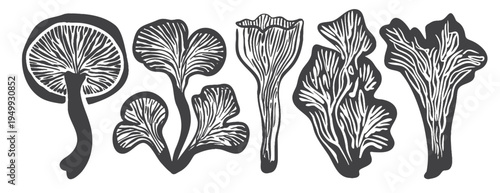 Black linocut mushroom vector set. Vintage forest fungi collection with chanterelle, shiitake, porcini and oyster mushrooms. Engraved botanical illustration in block print style, rustic garden art