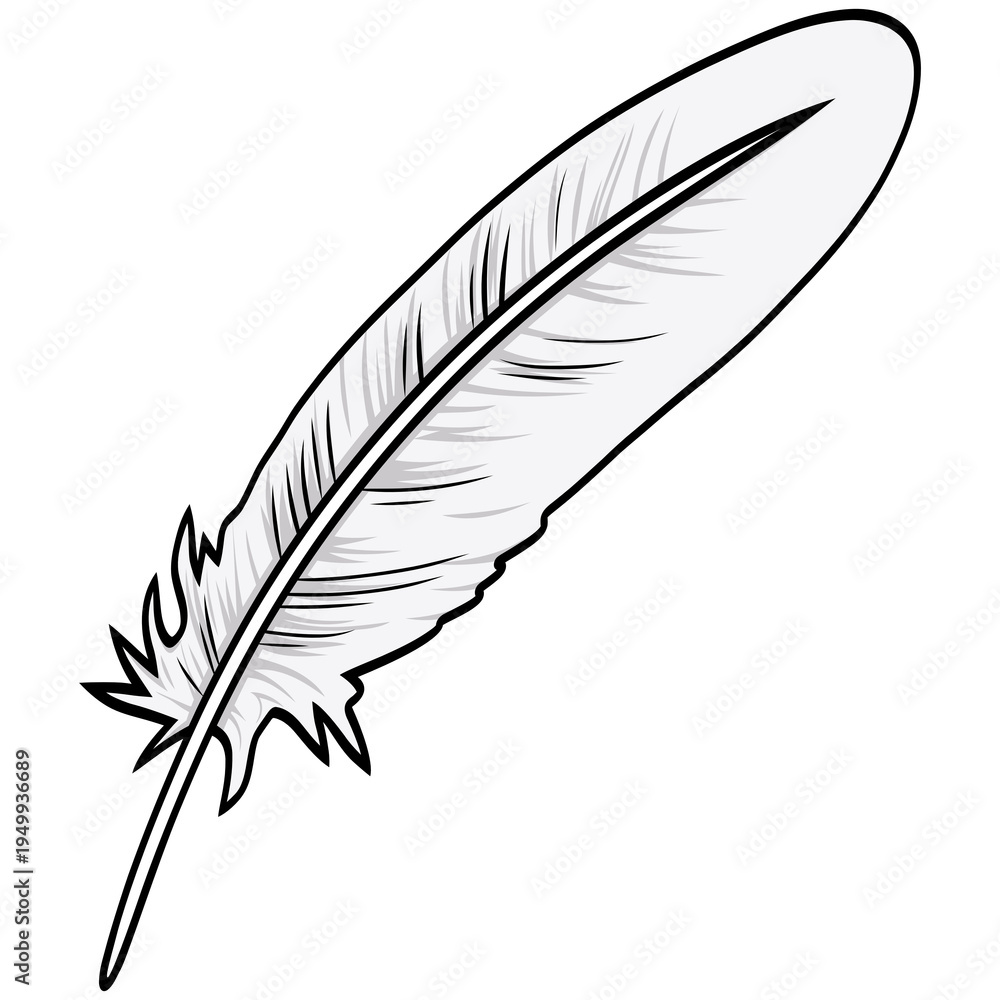 Fototapeta premium Feather Quill Pen Classic Stationery Illustration