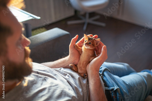 фотографія Bearded man holding tiny orange kitten in cupped hands lying on couch