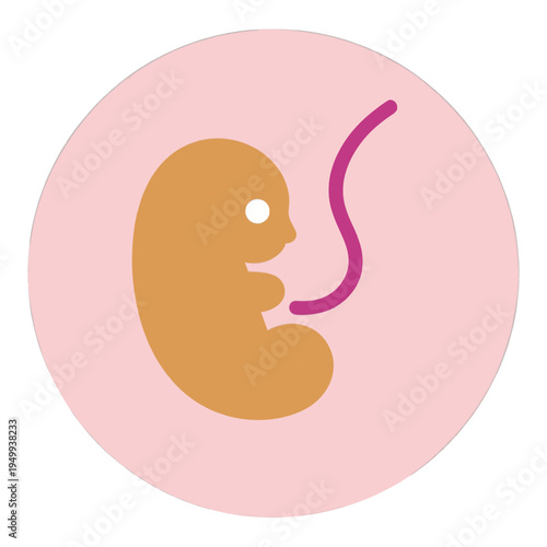 Fetus With Umbilical Cord Flat Icon