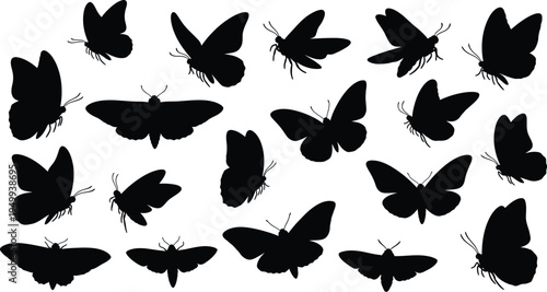 Collection of diverse butterfly and moth shapes in black silhouette