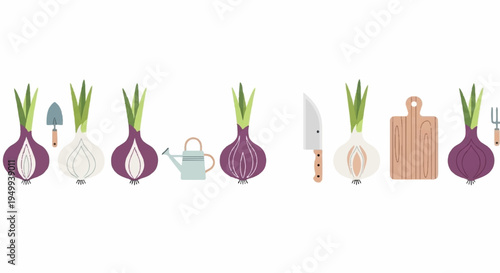 Onion bulbs and kitchen utensils for cooking and gardening on white background